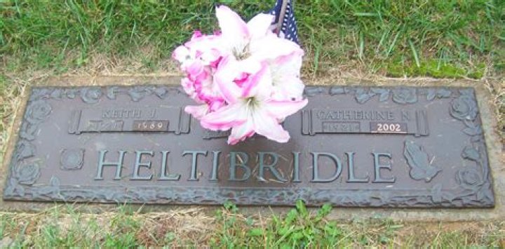James Heltibridle's Age: Uncovering The Details