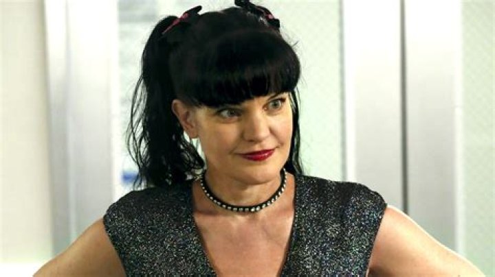 Pauley Perrette's Journey: From NCIS Star To A New Chapter