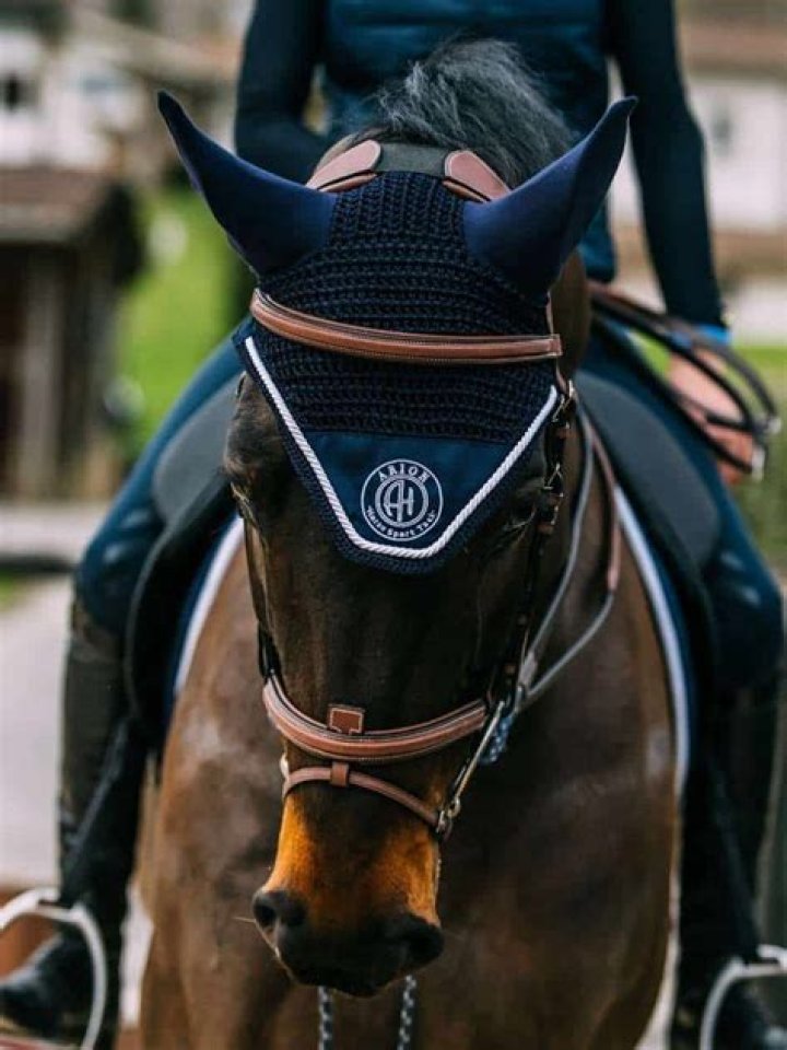 Revolutionary Heltibridle: The Ultimate Equestrian Innovation