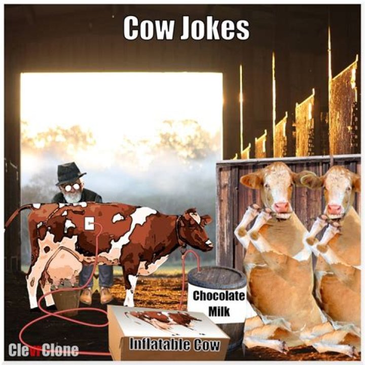 The Ultimate Collection Of ROFL-Inducing Funny Cows Memes