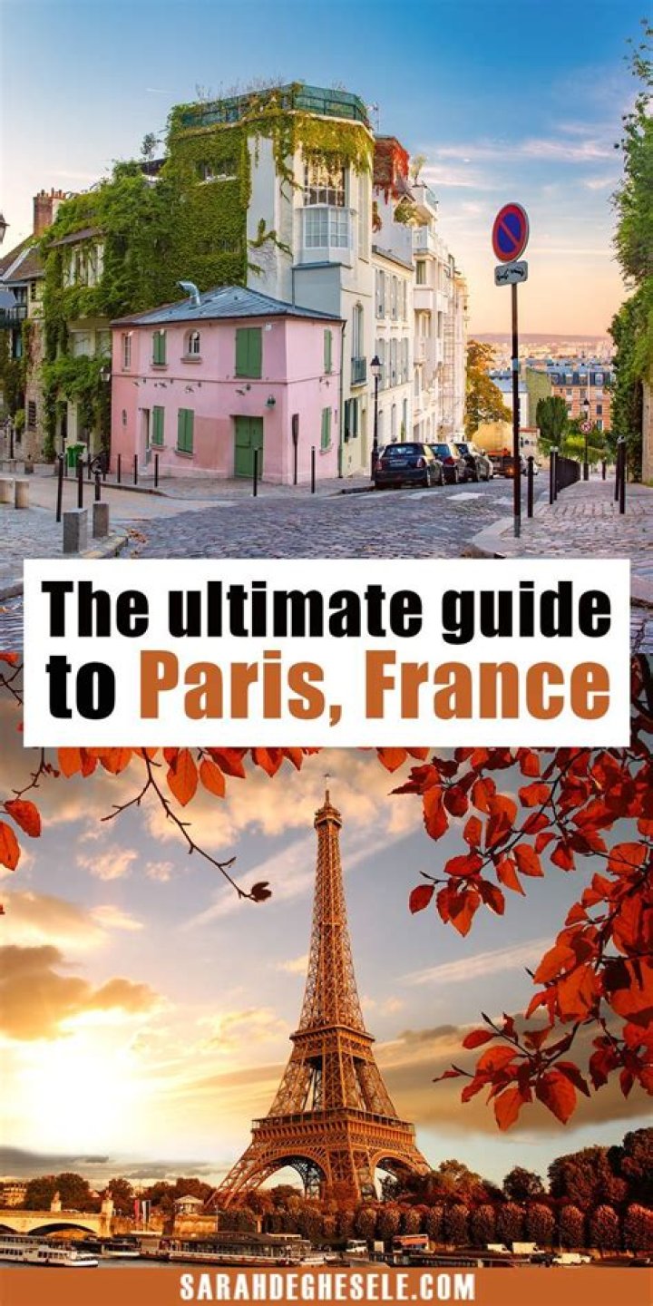 The Ultimate Guide To Paris Berelc Movies And TV Shows