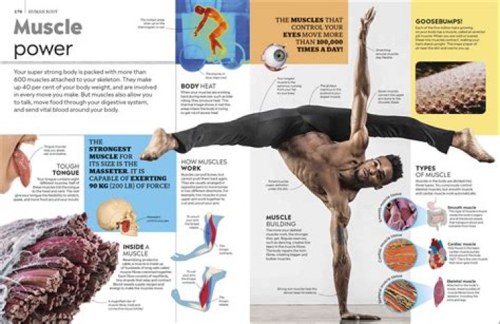 The Ultimate Guide To The World's Top Male Celebrities