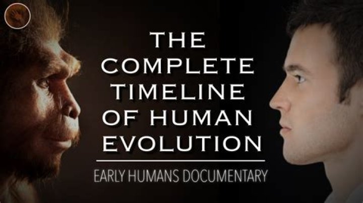 Understanding The Disappointment Look Meme: A Deep Dive Into Its Origins And Impact