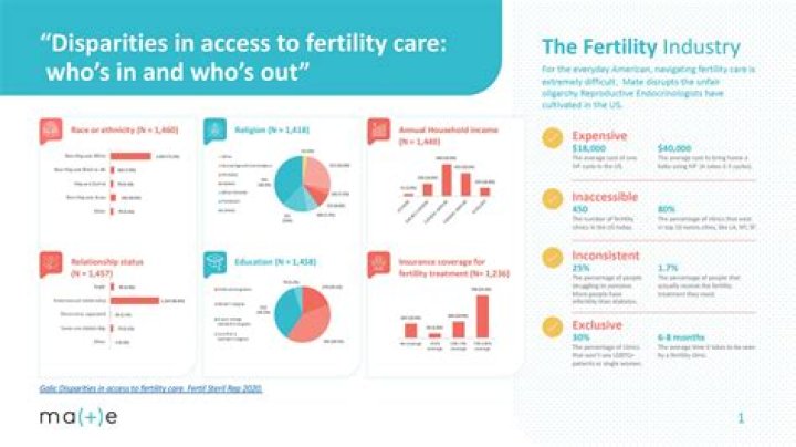Understanding The Infertility Rate In The US